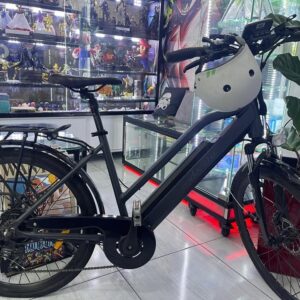 Bicicleta eléctrica Andantte Forza